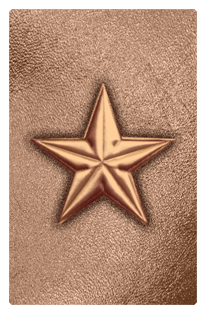 DF35T 430 CP BZ Star Copper Bronze